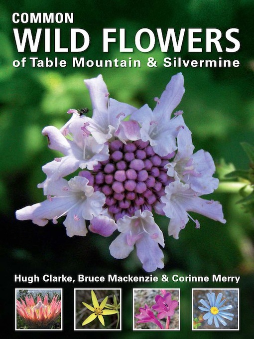 Title details for Common Wild Flowers of Table Mountain & Silvermine by Hugh Clarke - Available